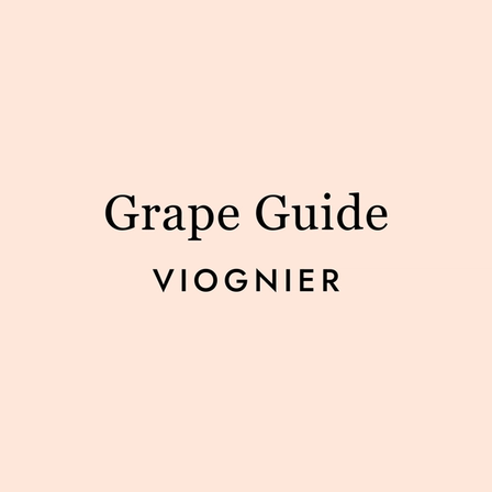 Viognier: The Showstopper White Nobody Sees Coming