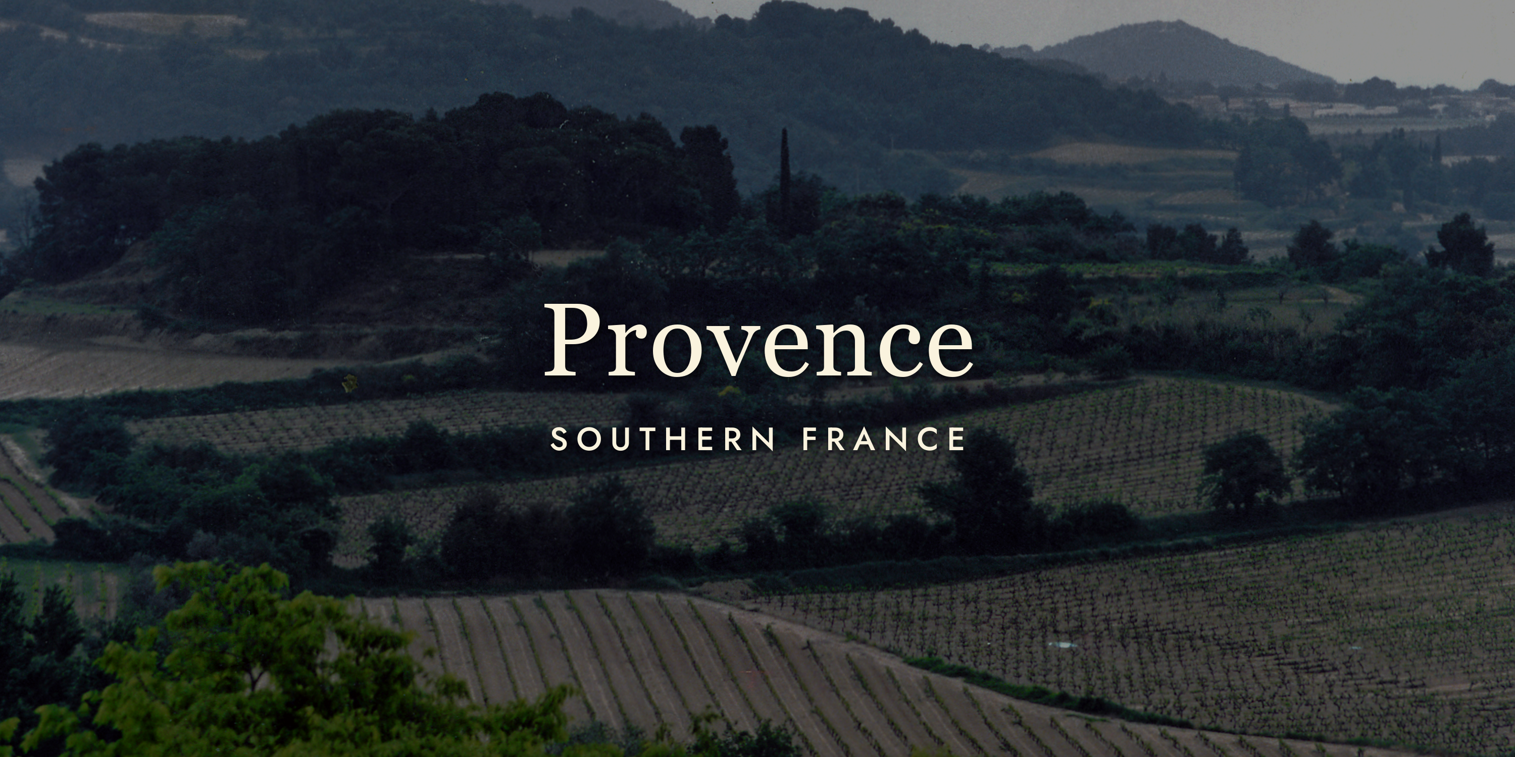 Provence Wine: There's More to It Than Rosé