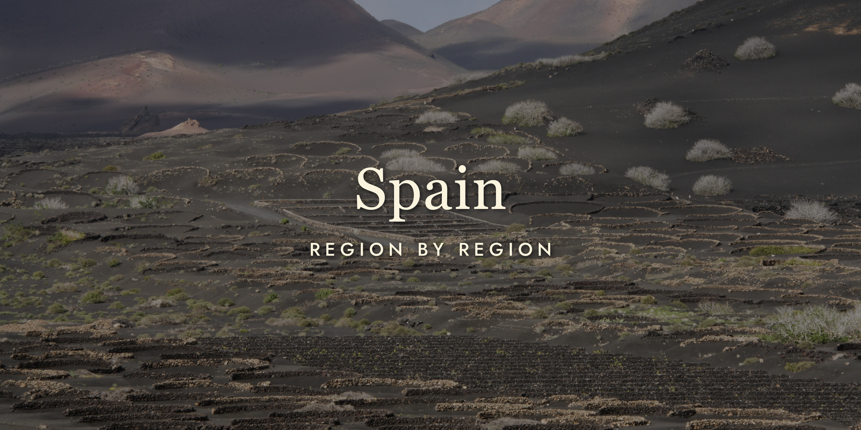 Spanish Wine Regions: Heat, Heart, and Garnacha