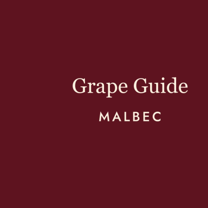 Malbec: The Wine That Refuses to Apologise