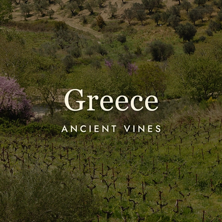 Greek Wine: Ancient Vines, Modern Revelations