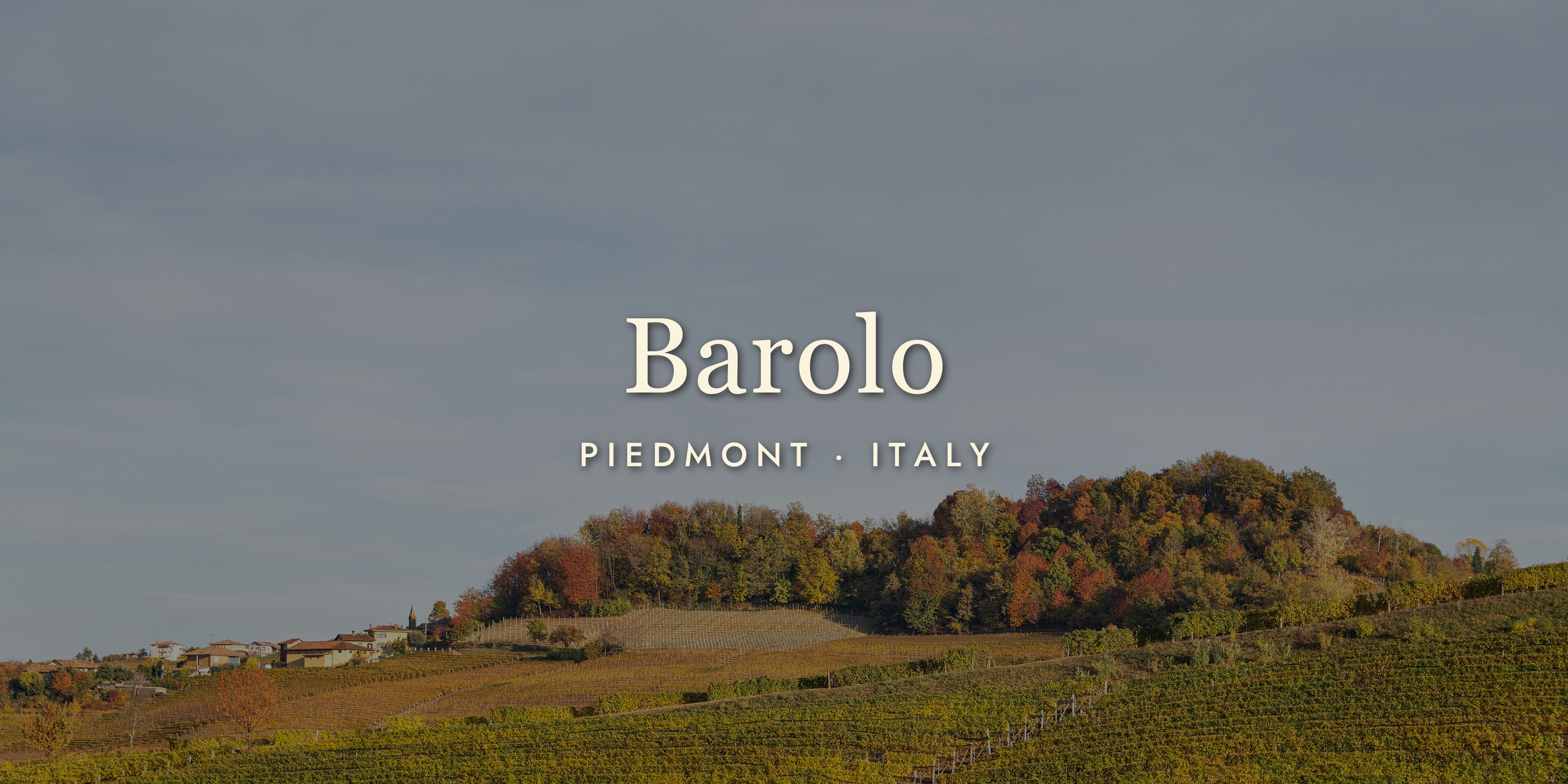 Barolo: Italy's King of Wines (and Why It's Worth the Wait)
