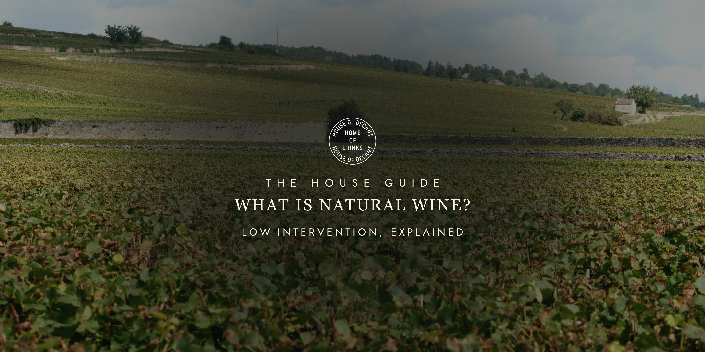 What Is Natural Wine? (And Should You Be Drinking It?)