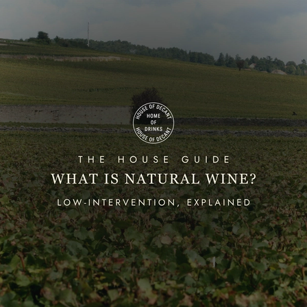 What Is Natural Wine? (And Should You Be Drinking It?)