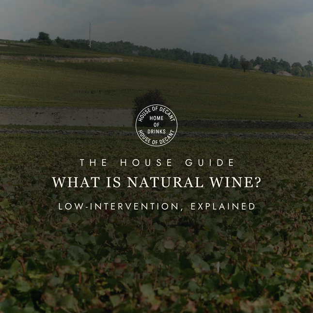 What Is Natural Wine? (And Should You Be Drinking It?)