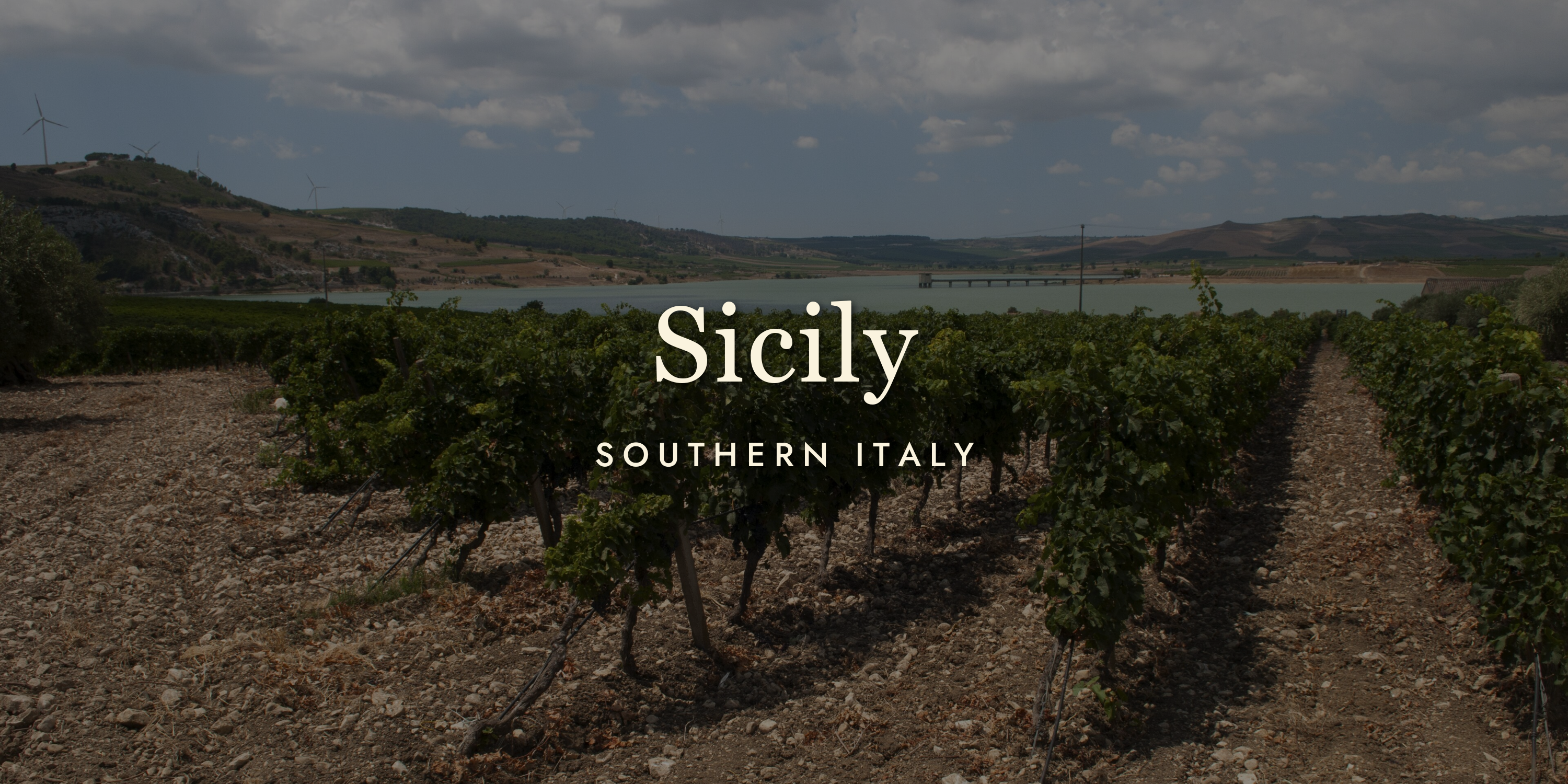 Sicilian Wine: The Island Everyone's Talking About