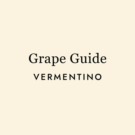 Vermentino: Mediterranean Sunshine in a Glass