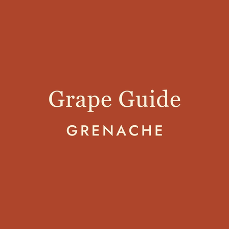 Grenache: The Underdog Grape That Quietly Won Everything