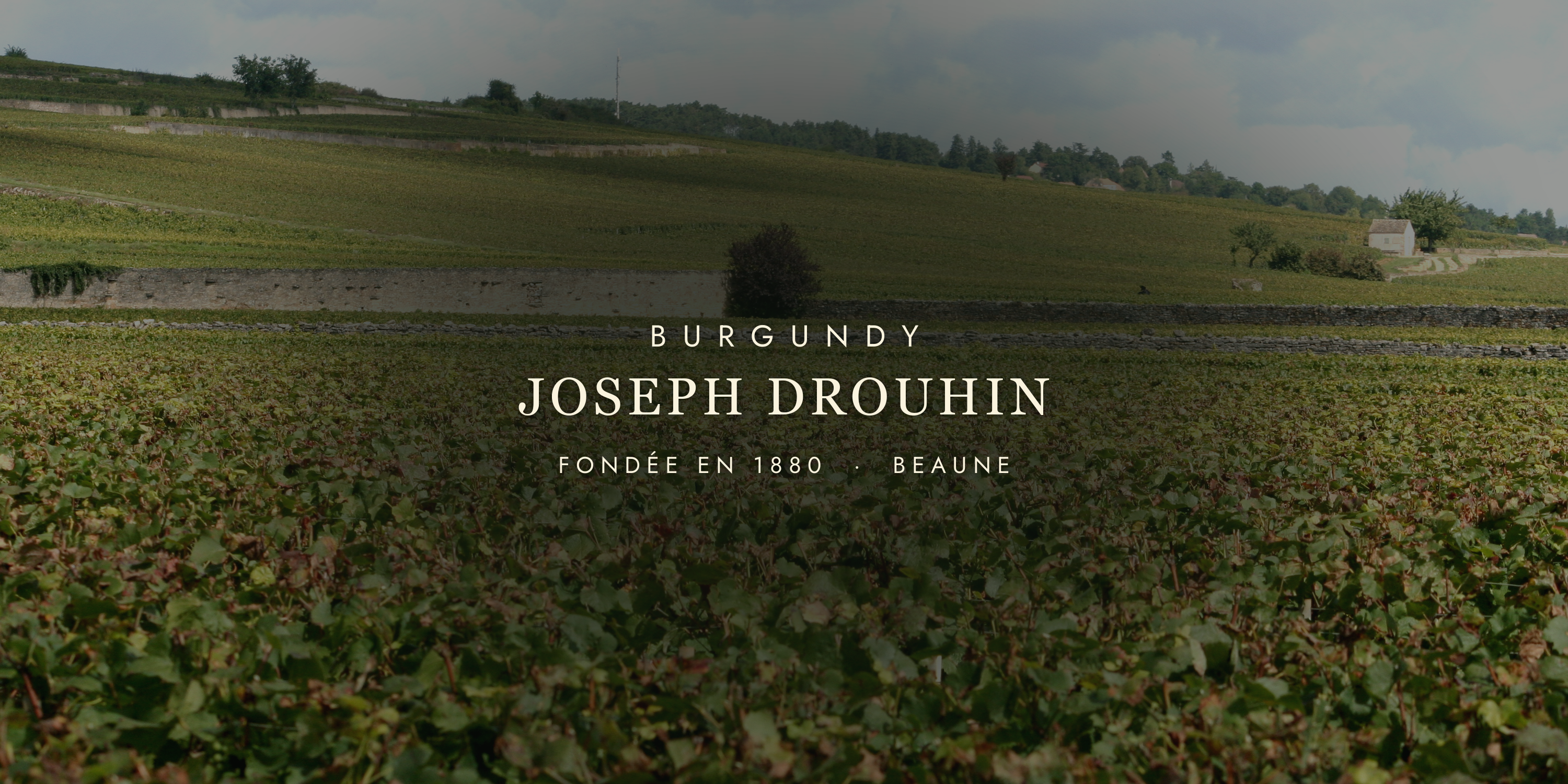 Joseph Drouhin: Burgundy's Quiet Genius