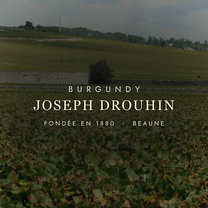 Joseph Drouhin: Burgundy's Quiet Genius