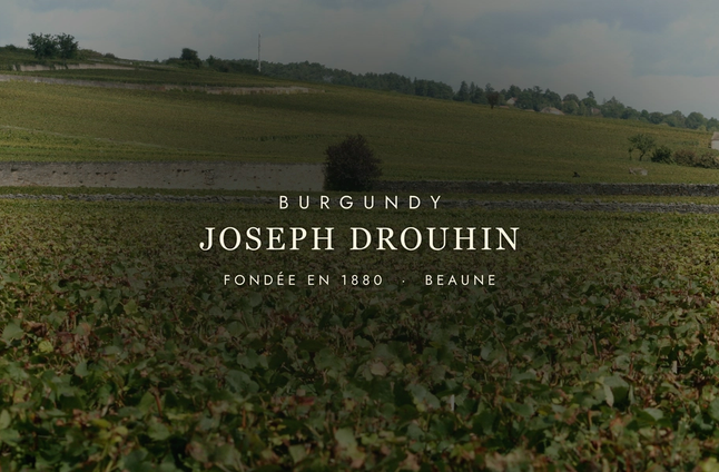 Joseph Drouhin: Burgundy's Quiet Genius