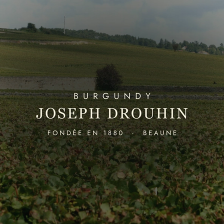 Joseph Drouhin: Burgundy's Quiet Genius