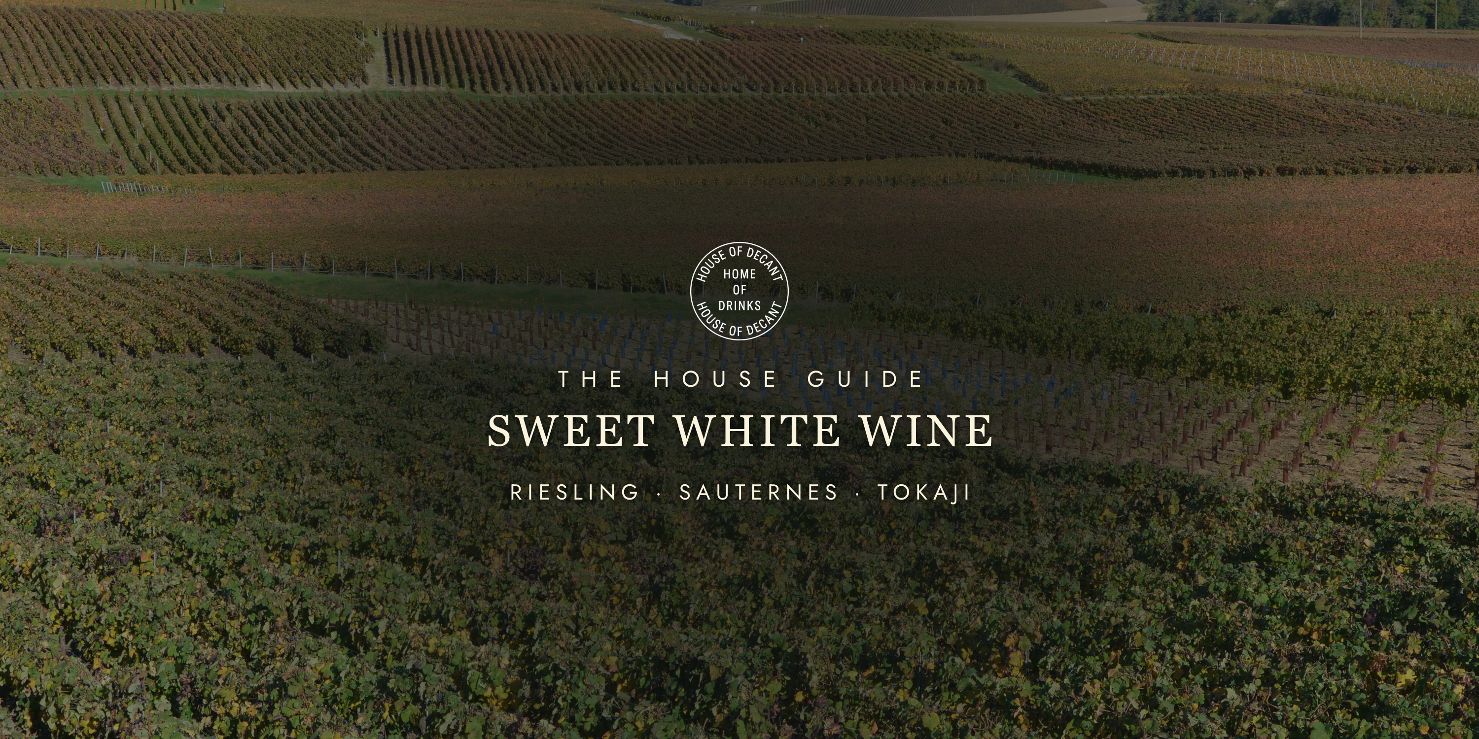 Sweet White Wine: From Riesling to Sauternes
