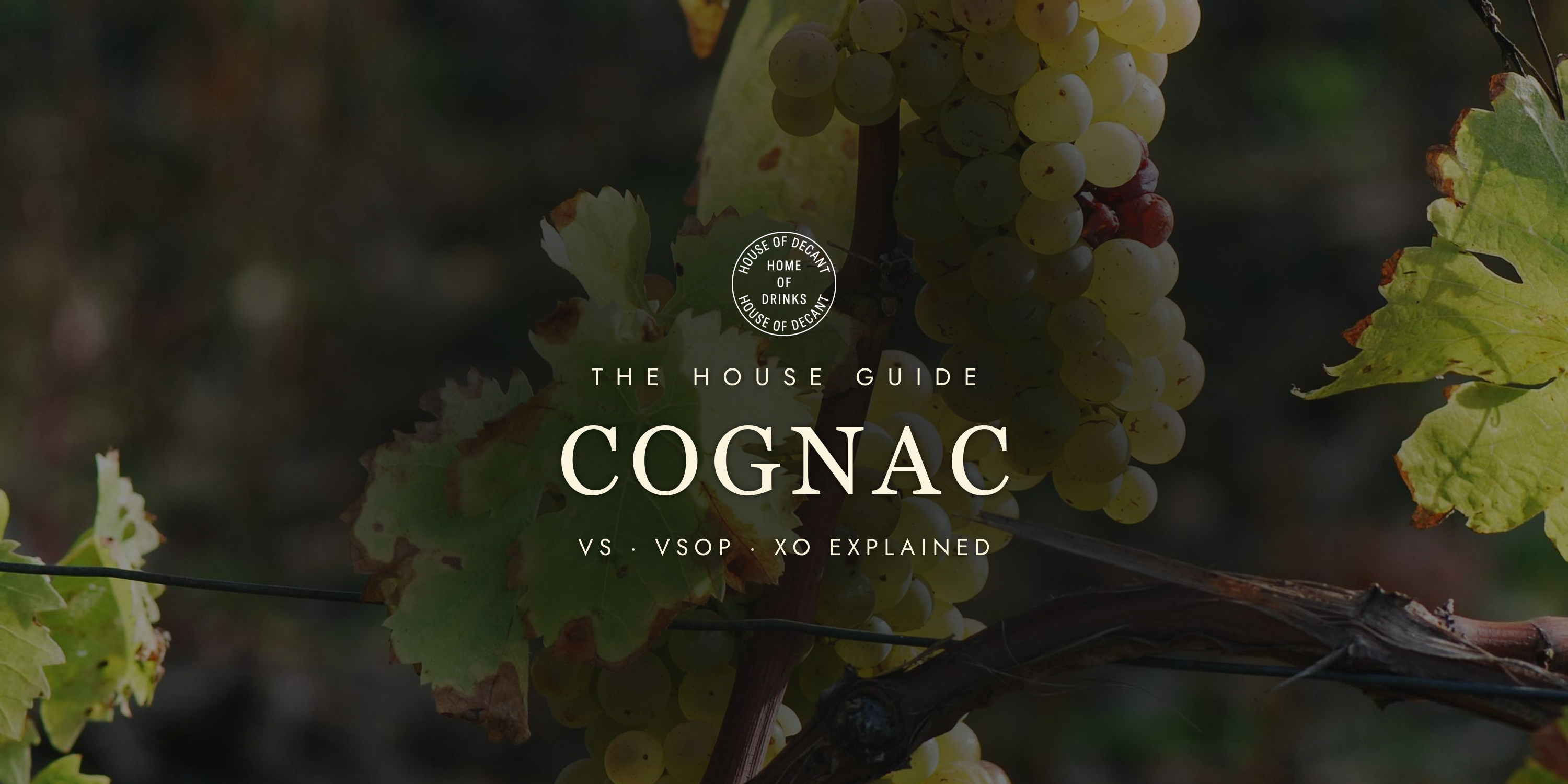Best Cognac: A Buyer's Guide to Liquid Gold