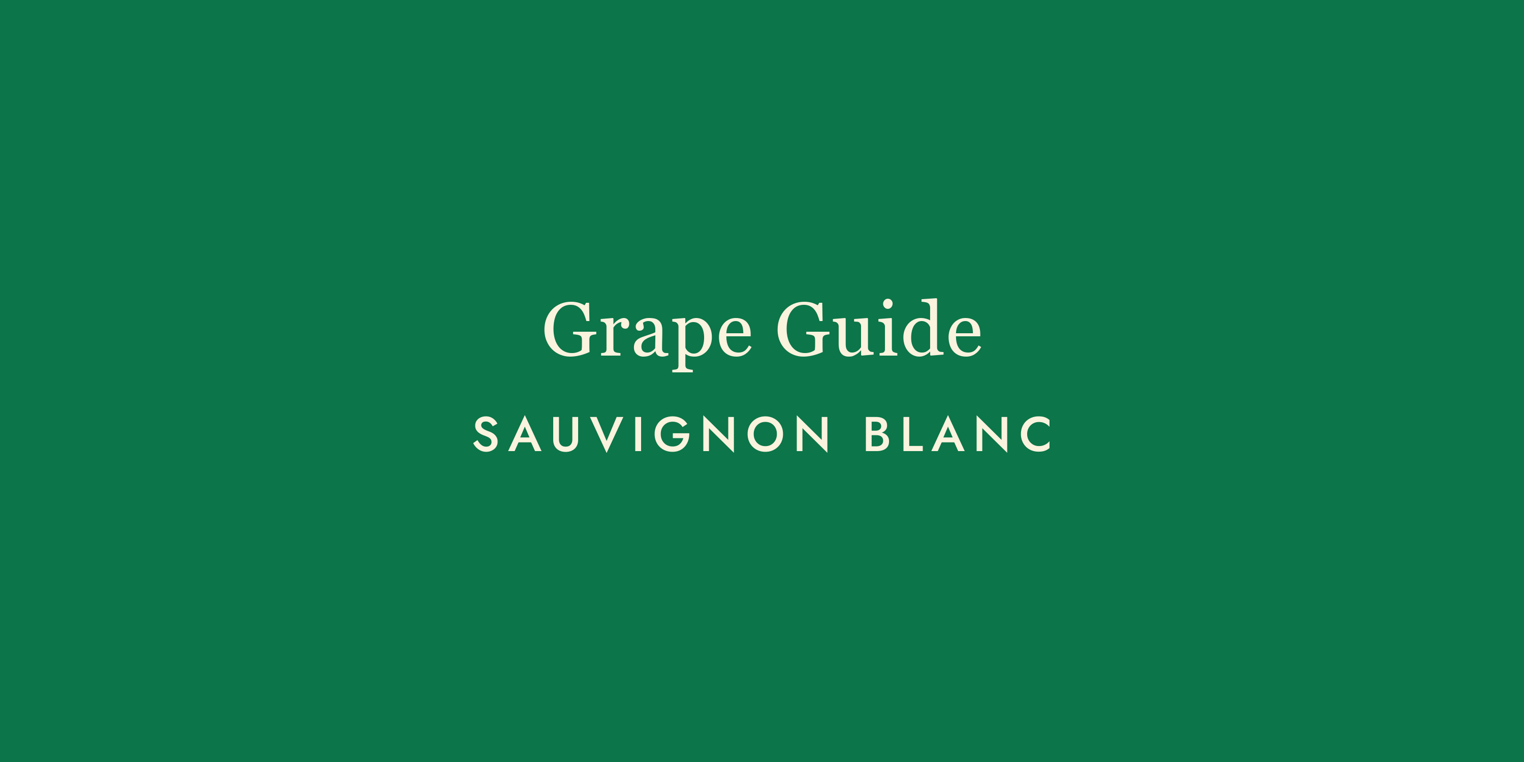 Sauvignon Blanc: The Wine That Wakes You Up