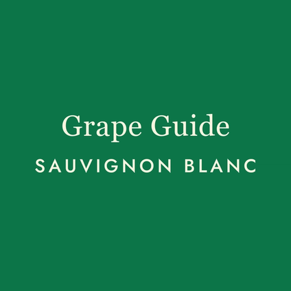 Sauvignon Blanc: The Wine That Wakes You Up