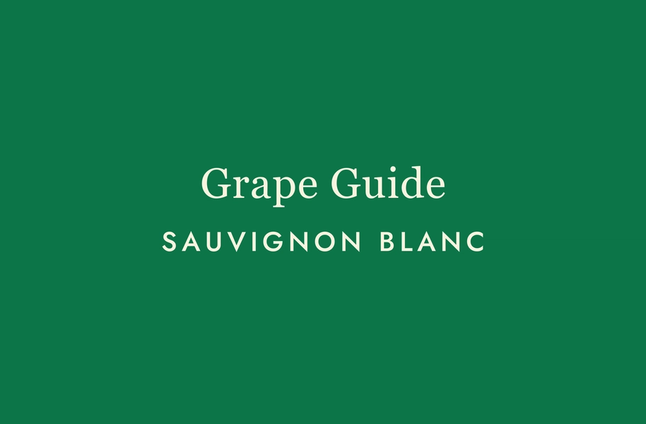 Sauvignon Blanc: The Wine That Wakes You Up