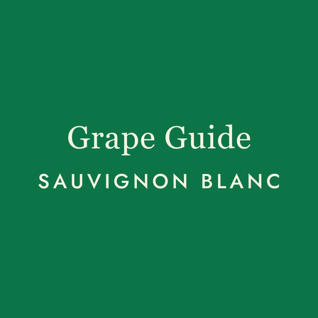 Sauvignon Blanc: The Wine That Wakes You Up