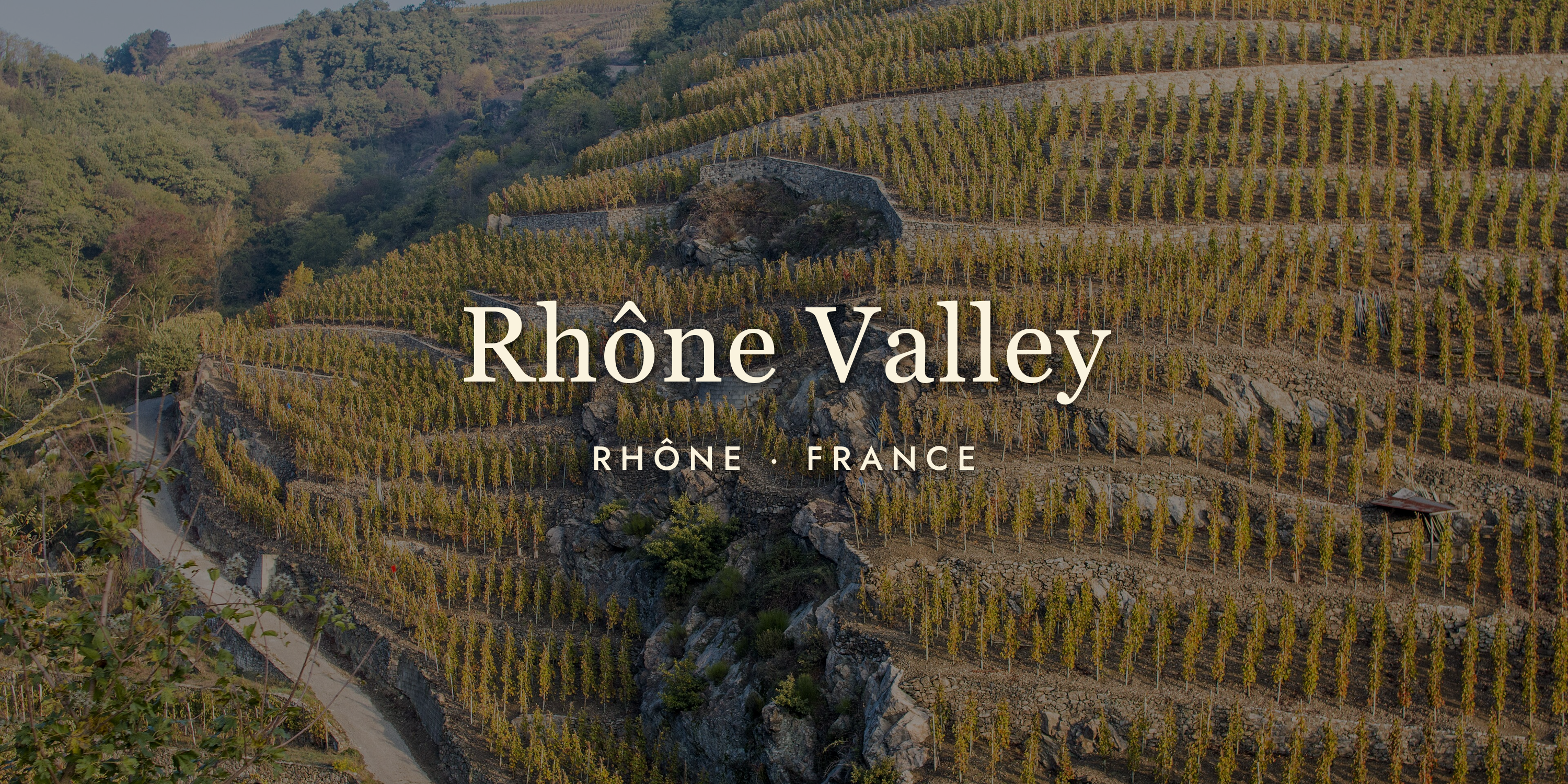 Rhône Valley Wine: Sun, Stone, and Syrah
