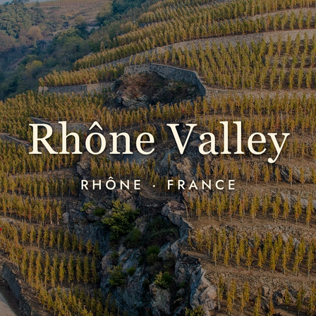 Rhône Valley Wine: Sun, Stone, and Syrah