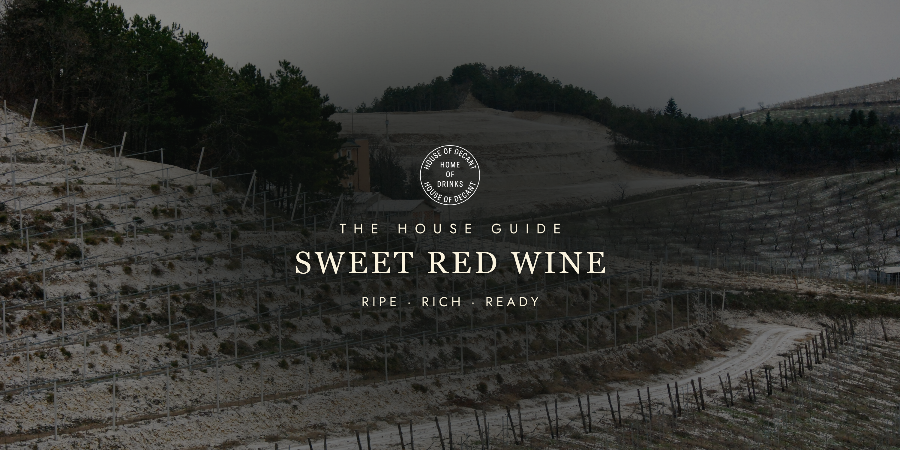 Best Sweet Red Wine: Rich, Ripe, and Ready