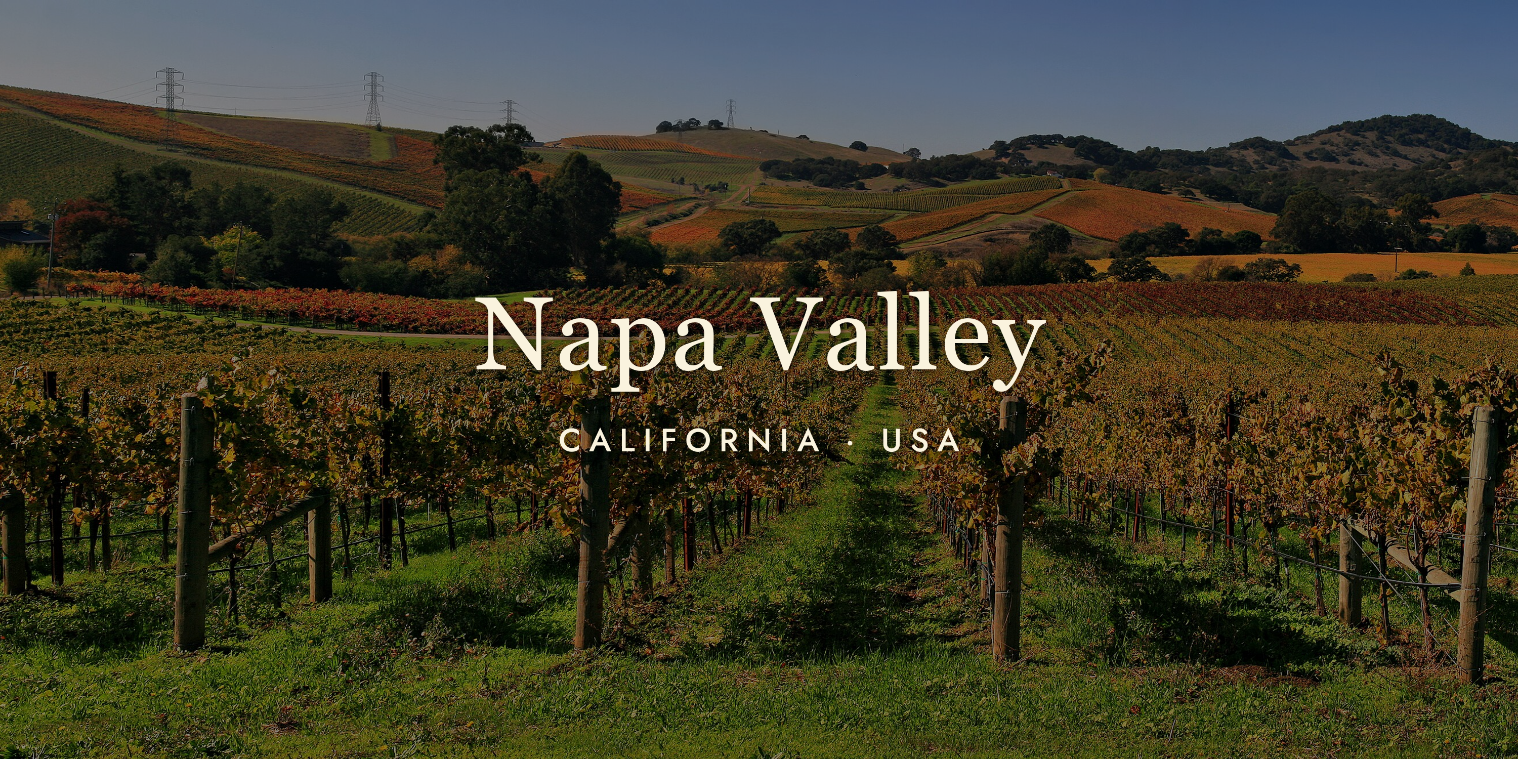 Napa Valley Wine: California's Liquid Gold