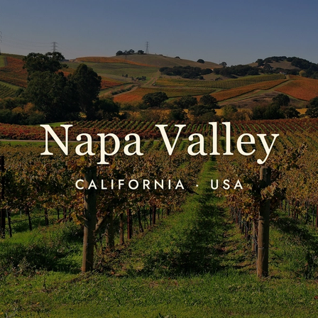 Napa Valley Wine: California's Liquid Gold