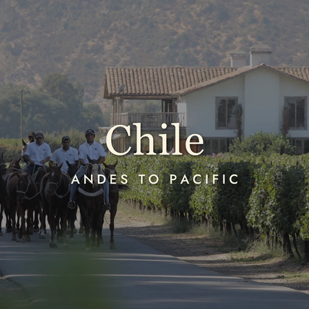 Chilean Wine: Big Value, Bigger Ambitions