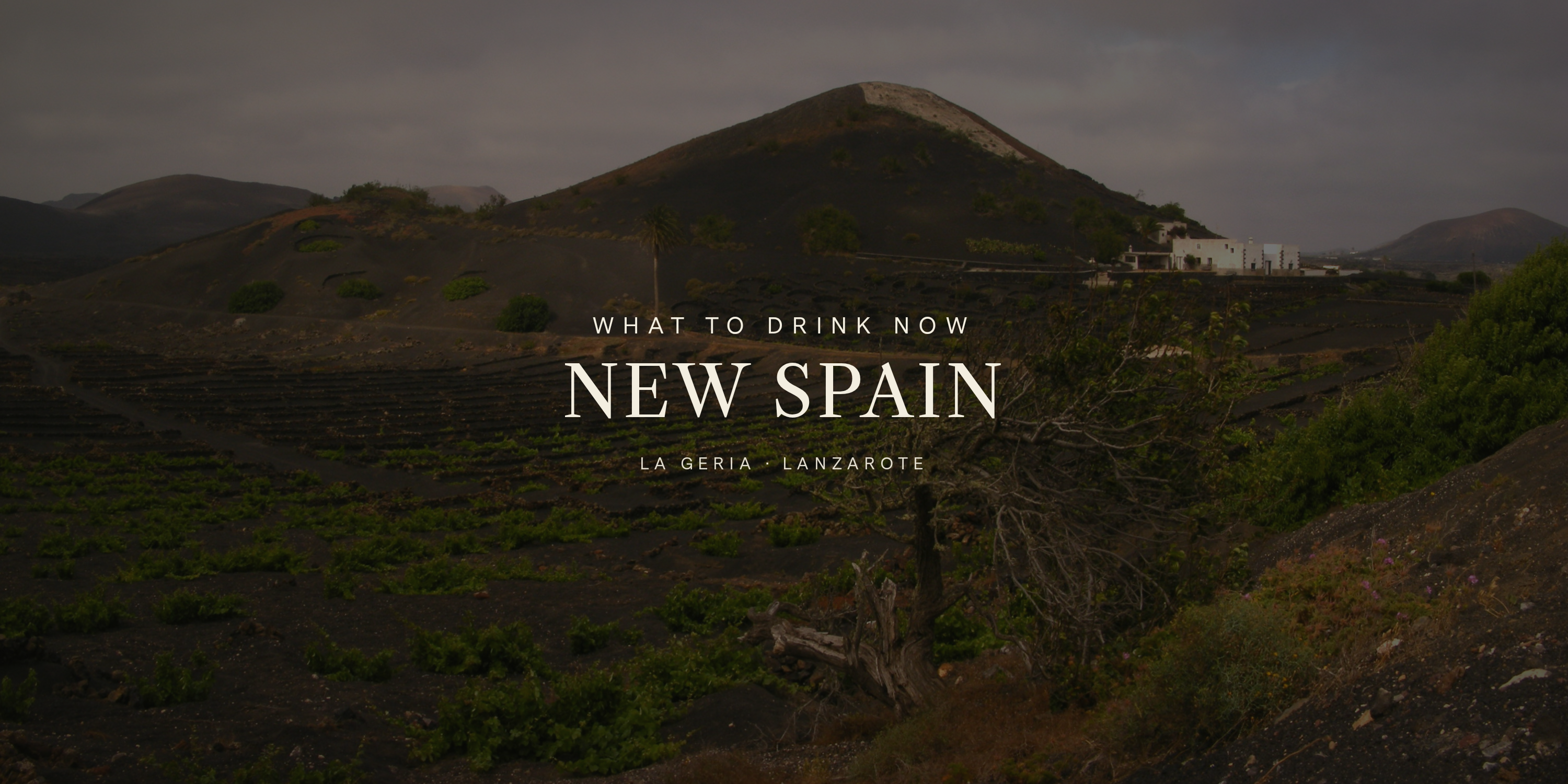 Spain Has Changed. Here's What to Drink Now