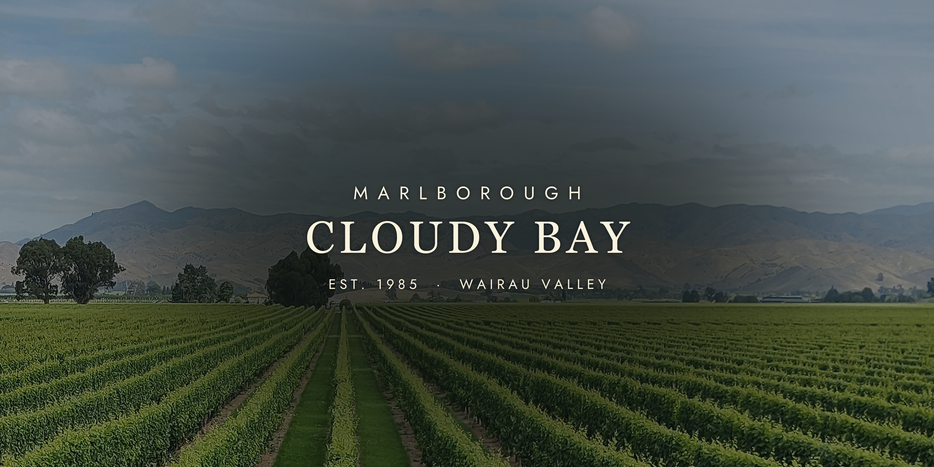 Cloudy Bay: The Winery That Put New Zealand on the Map