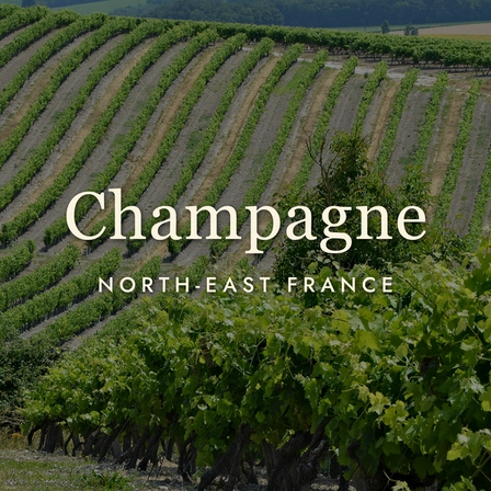Champagne: The Region, Not Just the Drink