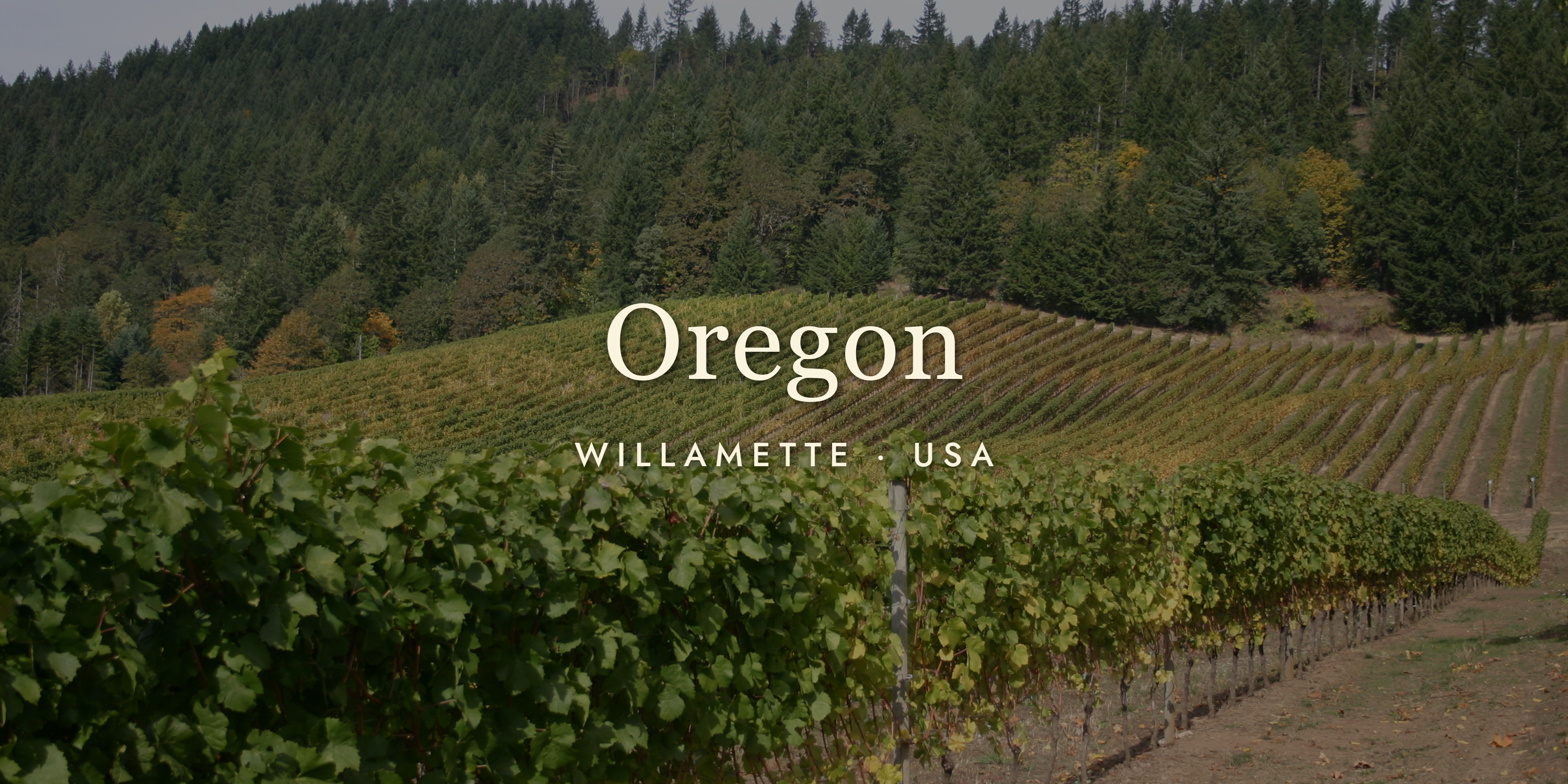 Oregon Wine: Pinot Noir Country (and Proud of It)