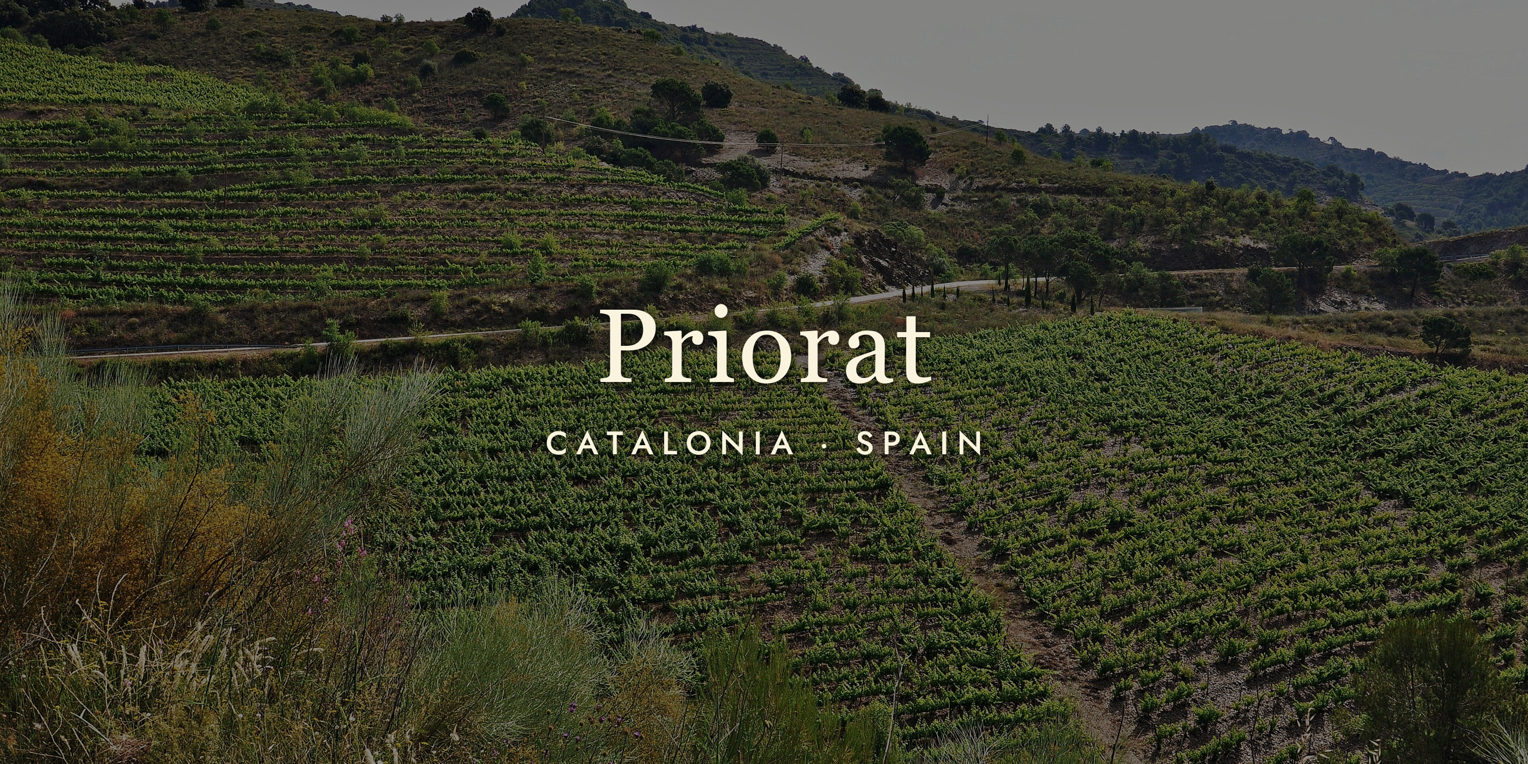 Priorat Wine: Spain's Boldest, Most Dramatic Red