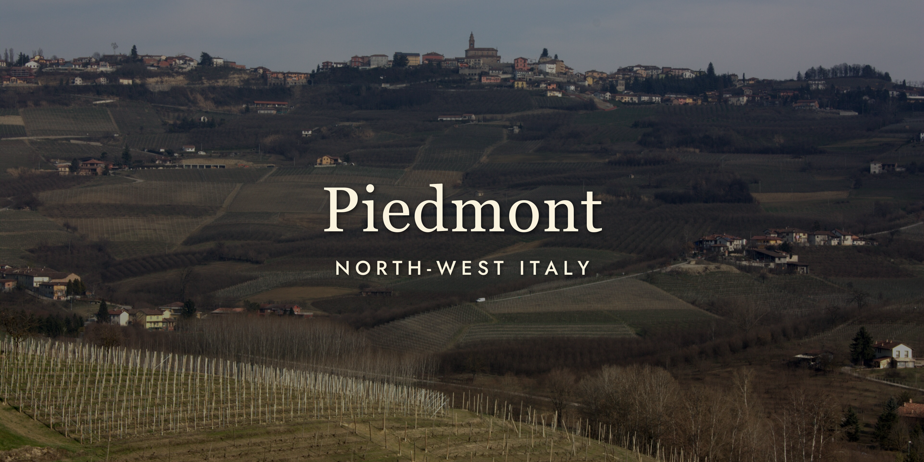 Piedmont Wine: Truffle Country's Finest Pours