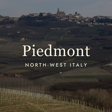 Piedmont Wine: Truffle Country's Finest Pours