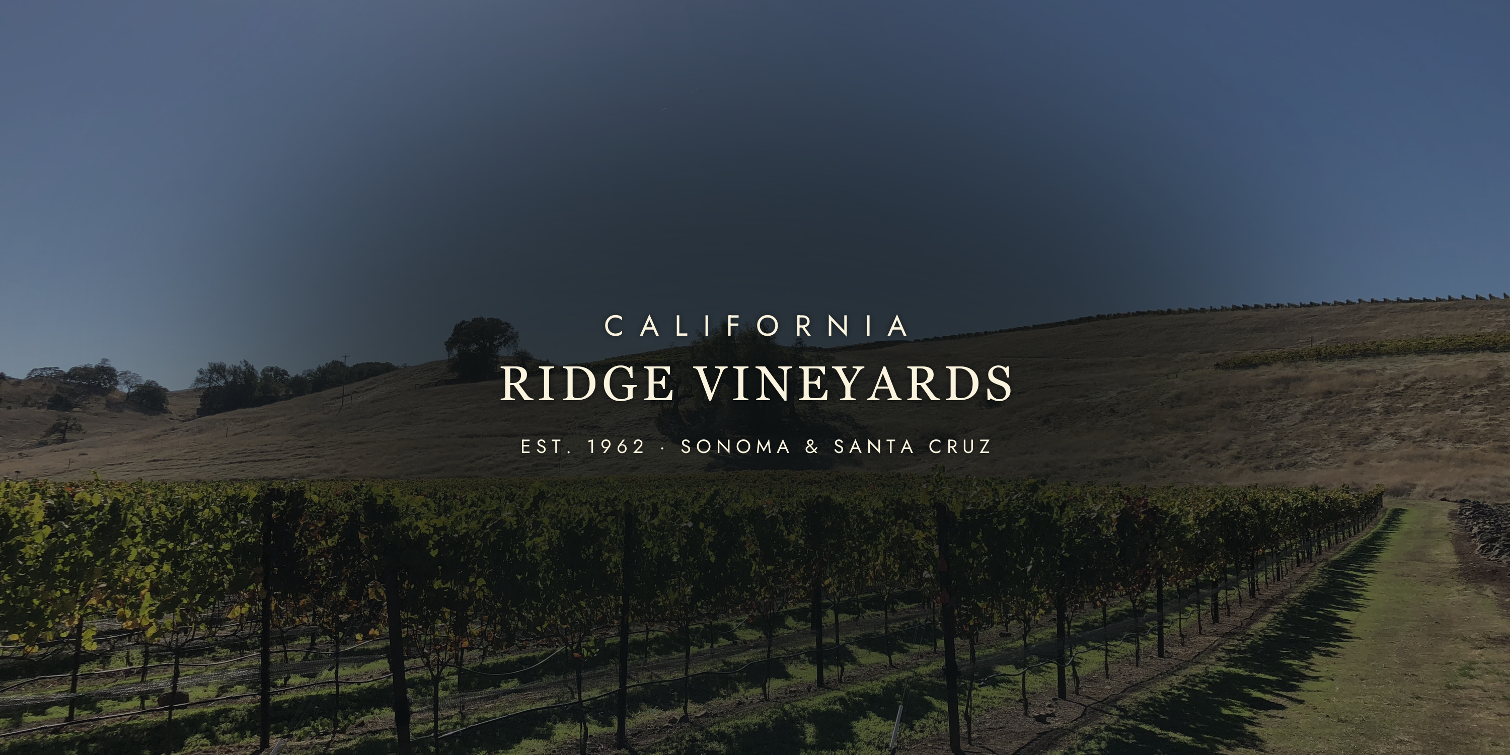 Ridge Vineyards: California's Old-Vine Icon