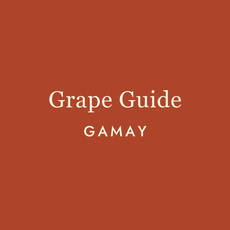 Gamay: The Wine That Refuses to Take Itself Seriously