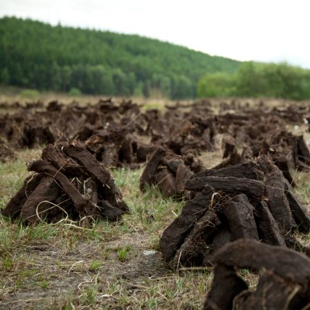 The Potential Ban on Peat in Scotch Whisky Production