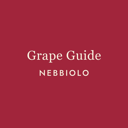 Nebbiolo: The Grape That Demands Your Patience — and Rewards It