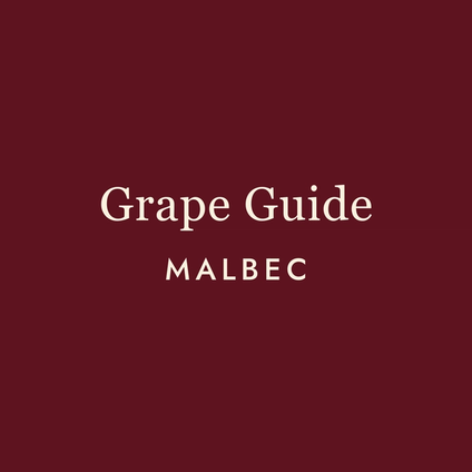 Malbec: The Wine That Refuses to Apologise