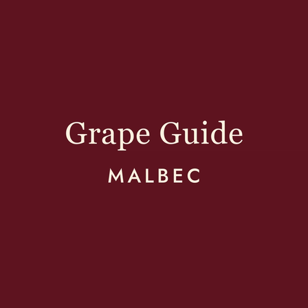 Malbec: The Wine That Refuses to Apologise