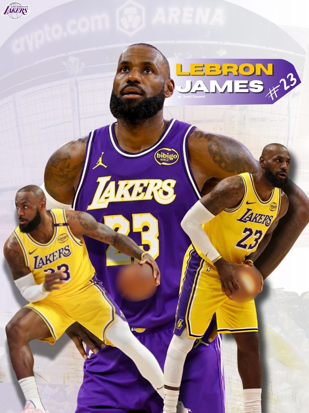 LeBron James basketball poster in purple and gold