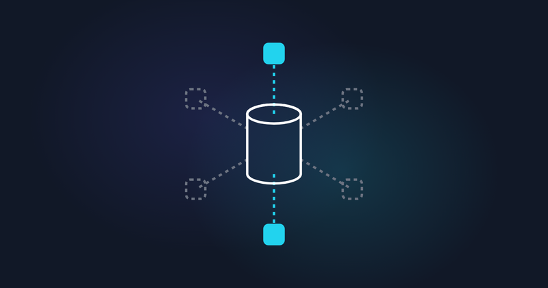 What is Shadow Data?
