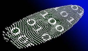 Canada's Regulators: The Importance Of Data Protection For Digital ID
