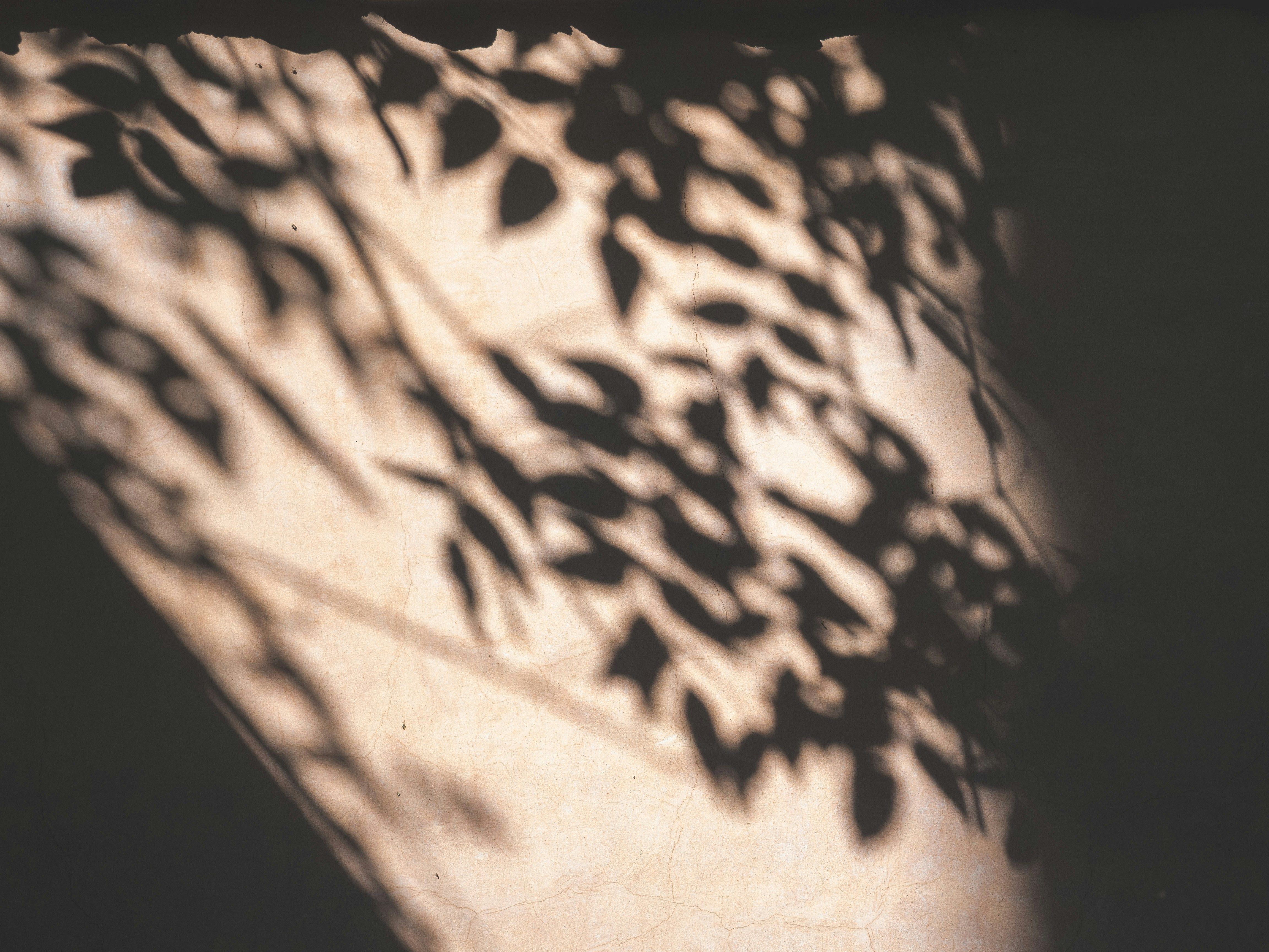 Blog photo