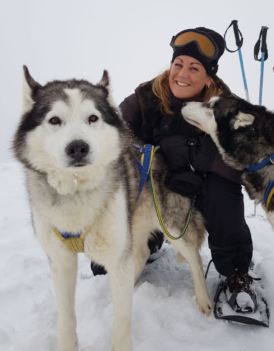 Husky sled tour through snowy landscape in Austria