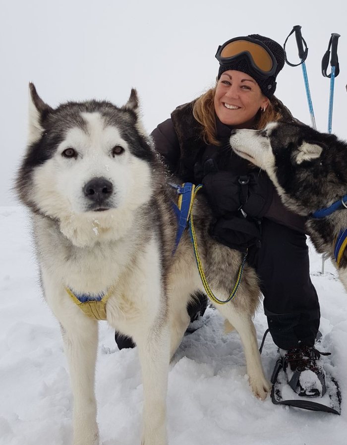 Husky sled tour through snowy landscape in Austria