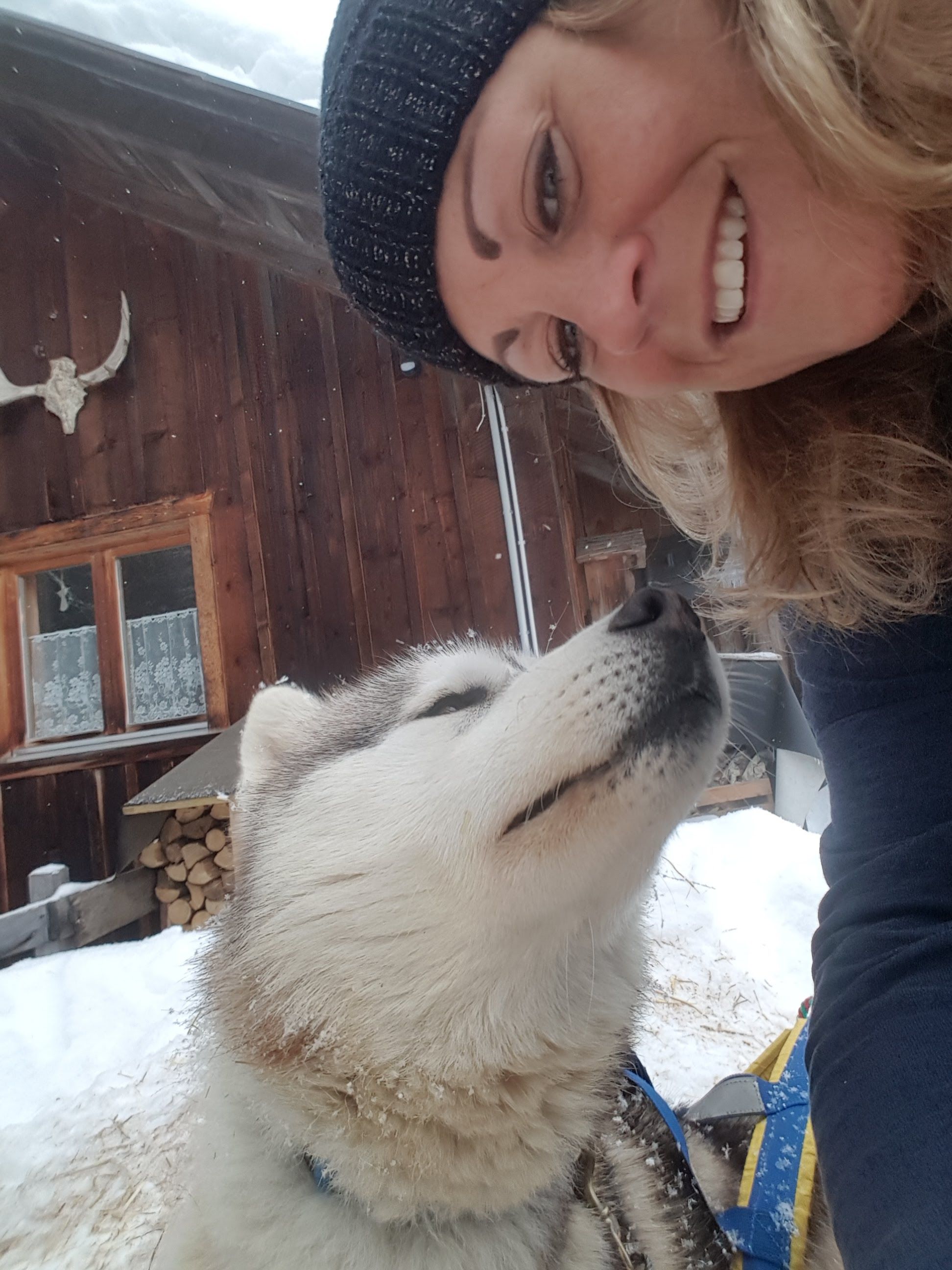 Selfie with husky during sled tour in Austria