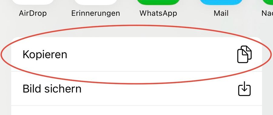 iOS sharing menu with the Copy option circled in red.
