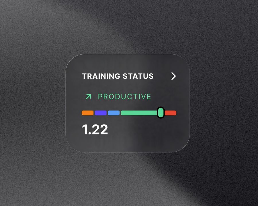 Productive training status with a fatigue value of 1.22 on a coloured scale.